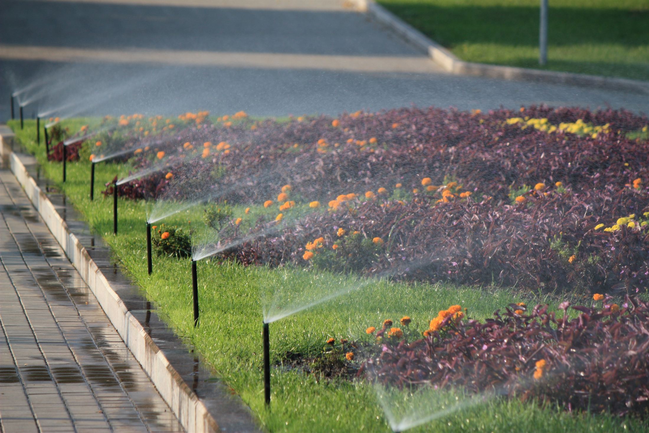 Парк Ленінського Комсомолу, фото 59